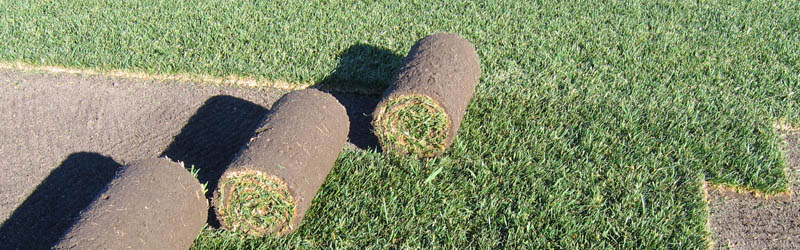 turftips-header_1